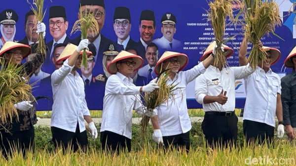 Menteri Koordinasi Bidang Pangan, Zulkifli Hasan (Zulhas) memimpin panen raya dalam acara #DemiIndonesia Mandiri Pangan 2025. (Foto: Isitmewa)